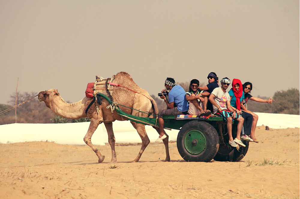 Camel-Rides