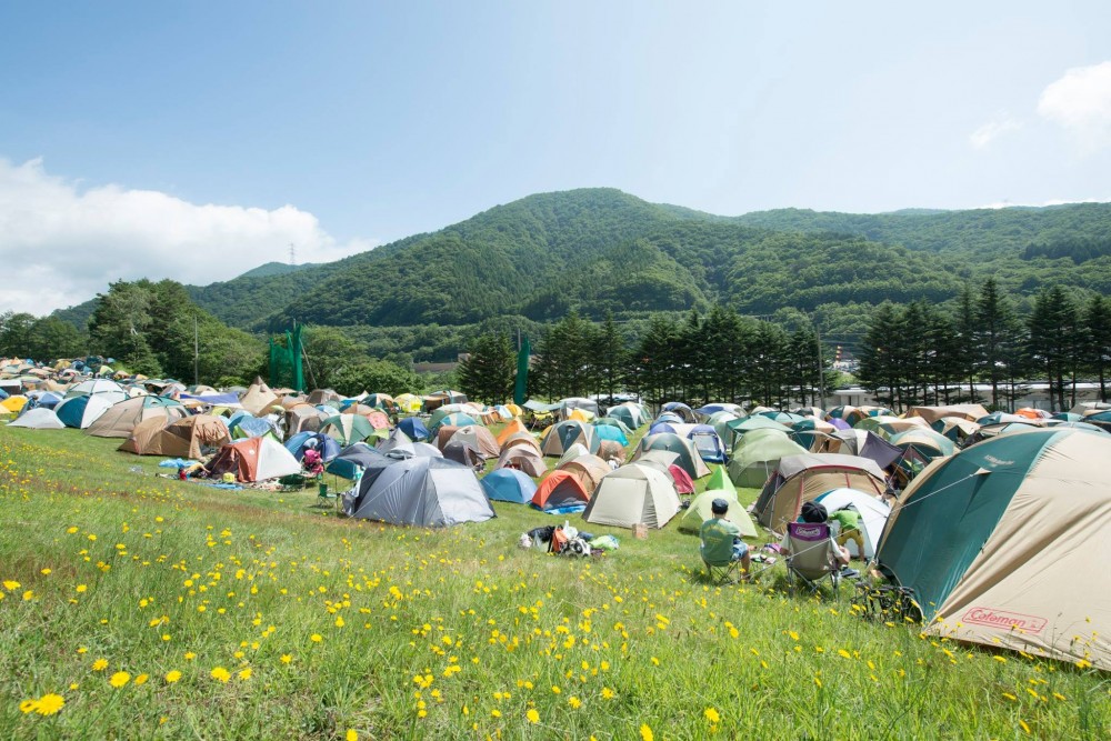 Fuji Rock FB 3