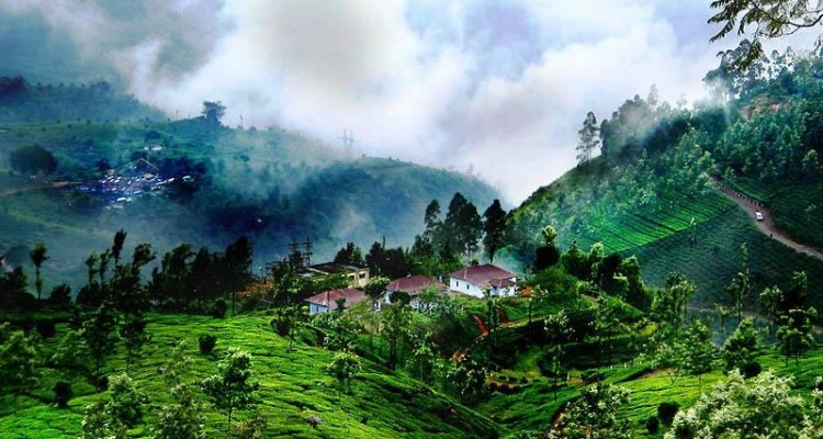 munnar-spice-and-tea-plantation-750x400