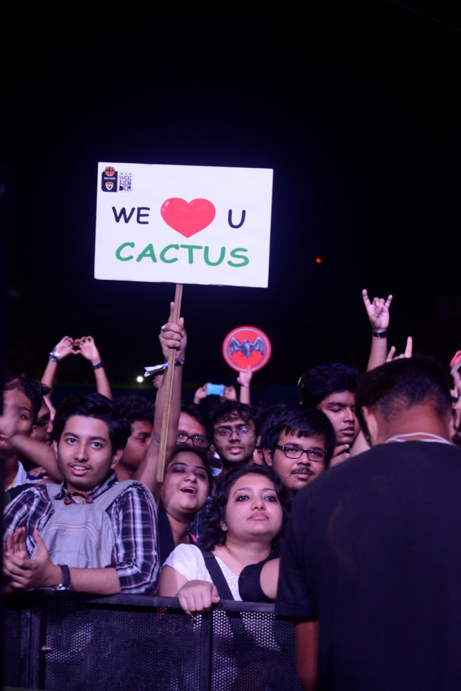 Cactus Crowd_Bacardi Arena_ Bacardi NH7 Weekender, Kolkata 2015 _ Ali