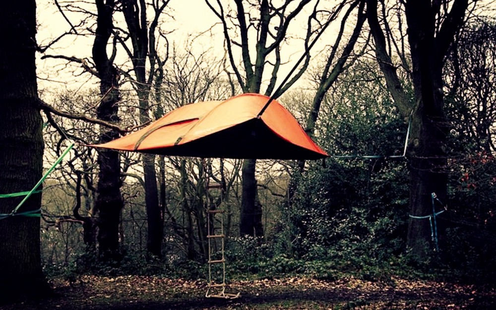 tentsile3