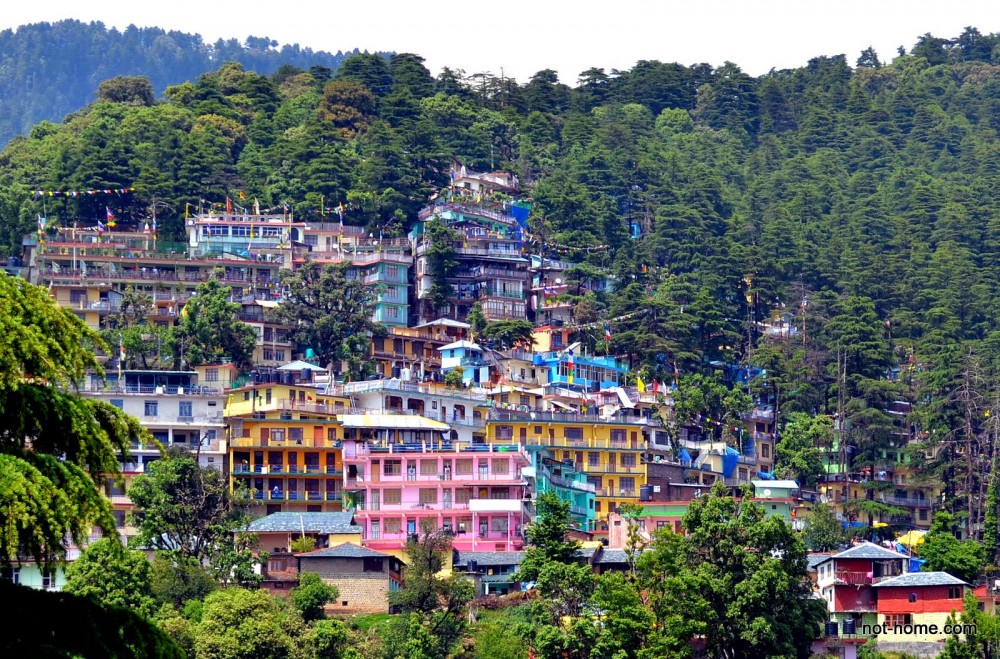 dharamsala