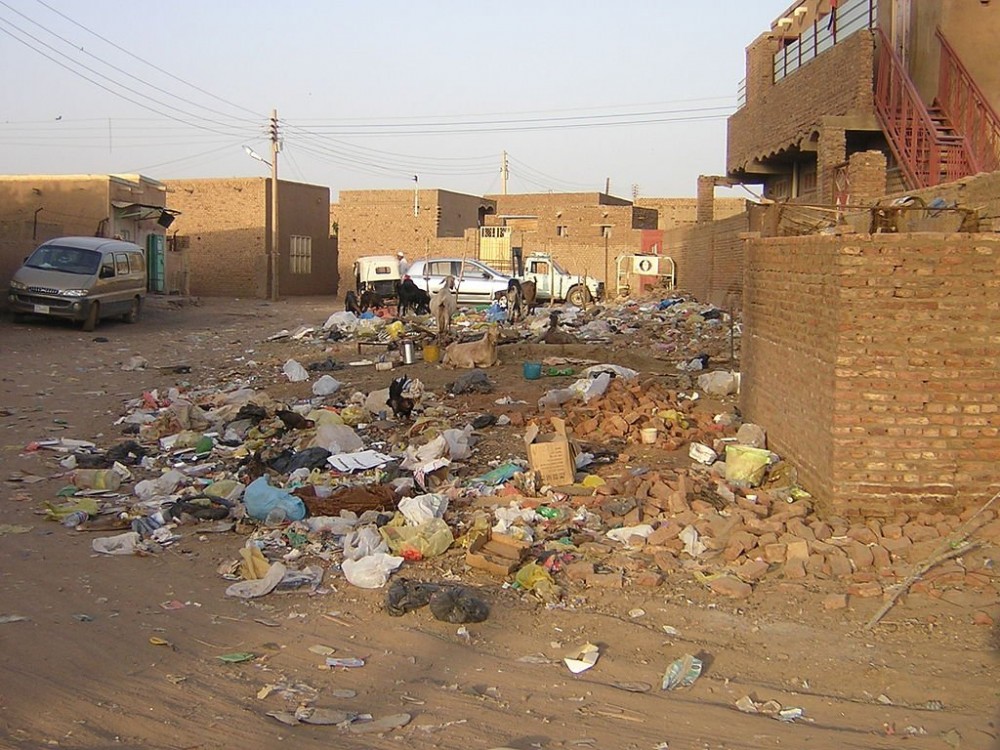 1024px-tuti_island_khartoum_sudan_004.jpg__1024x768_q85_crop_subsampling-2_upscale
