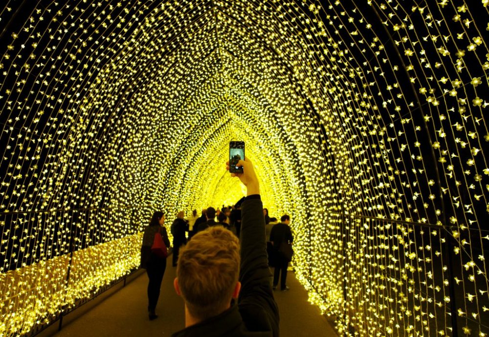 sydney light festivals Jason Reed Reuters