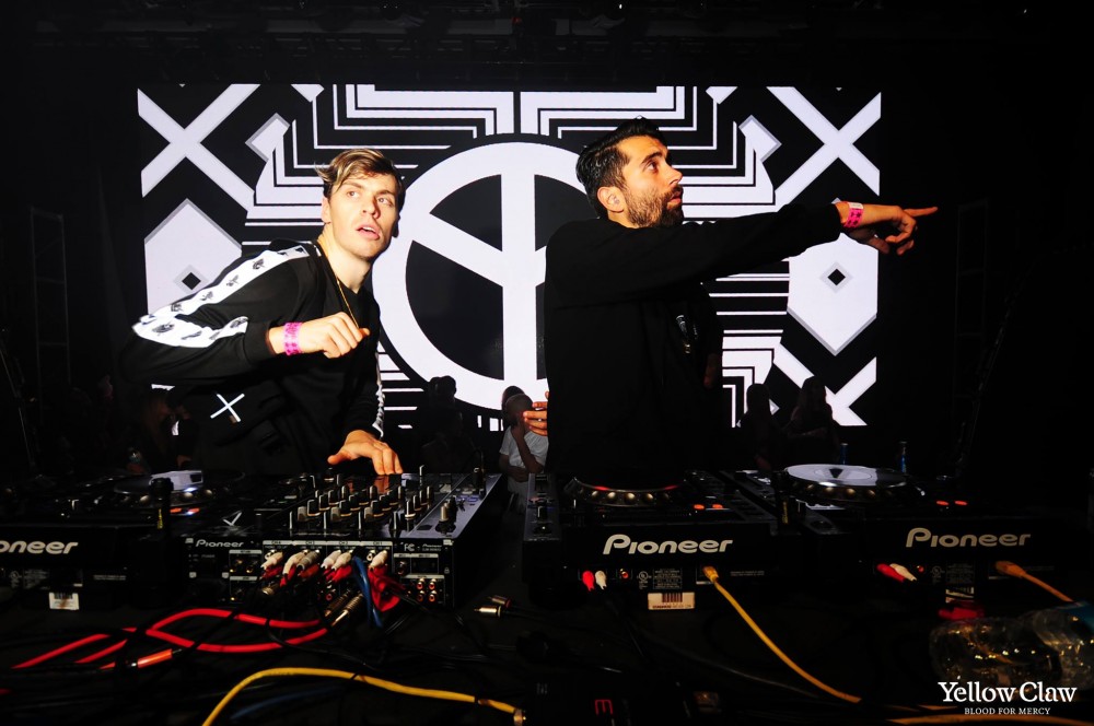 yellowclaw1