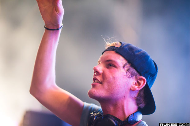 Avicii India Tour Sherpa Land
