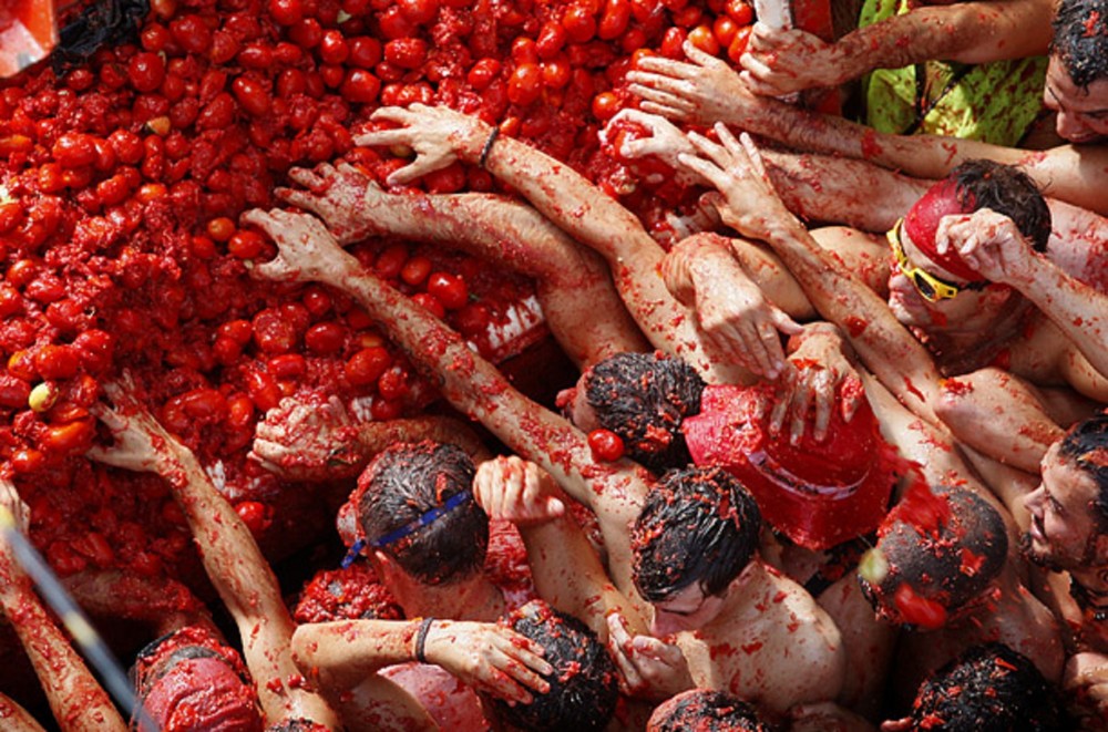 tomato_01