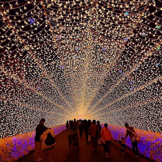 Look How Stunning These Japanese Winter Lights Festivals Are Festival Sherpa Online Guide to