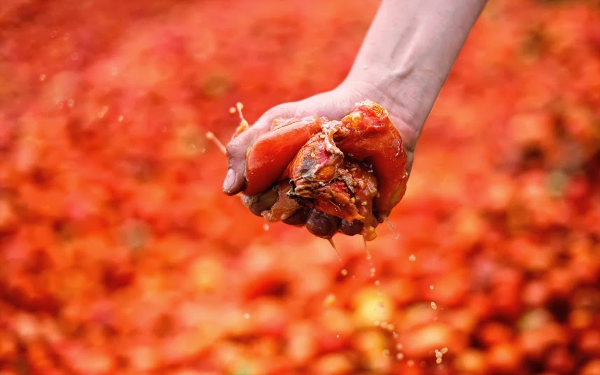 Throwback : The True Origin Story(ies) Of Spain's La Tomatina Festival -  Sherpa Land
