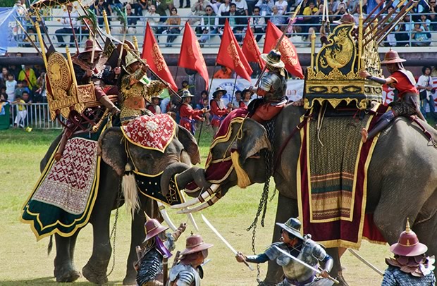 8 Amazing Festivals That Celebrate Animals In The Most Positive Ways - Sherpa Land 8 Amazing Festivals That Celebrate Animals In The Most Positive Ways - Sherpa Land
